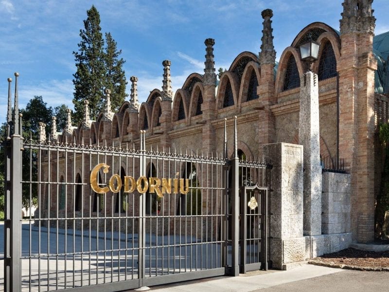Montserrat and Codorníu Wine Cellars Tour