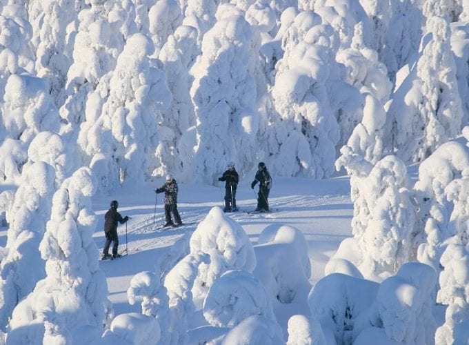 Lapland Cross Country Ski