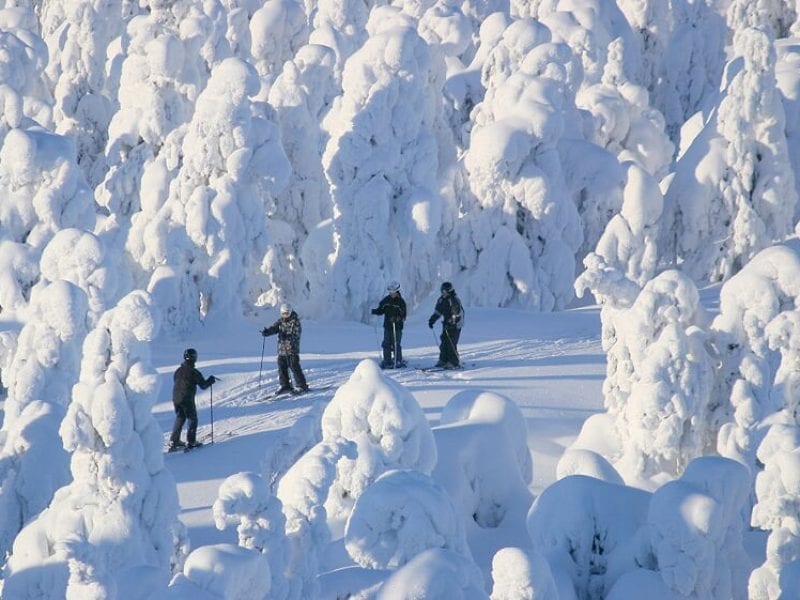Lapland Cross Country Ski