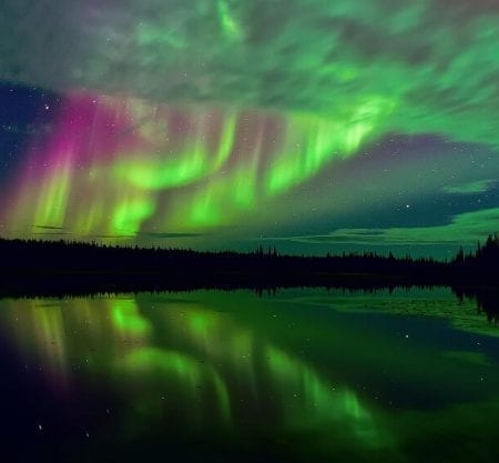 Ice Floating in Forest Lake with Aurora Borealis