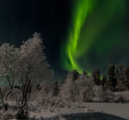 Hunting Northern Lights with Lappish Barbecue