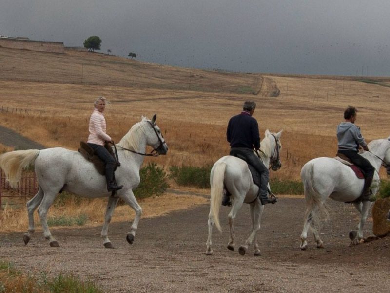 Ruta a caballo por la Sierra de Córdoba