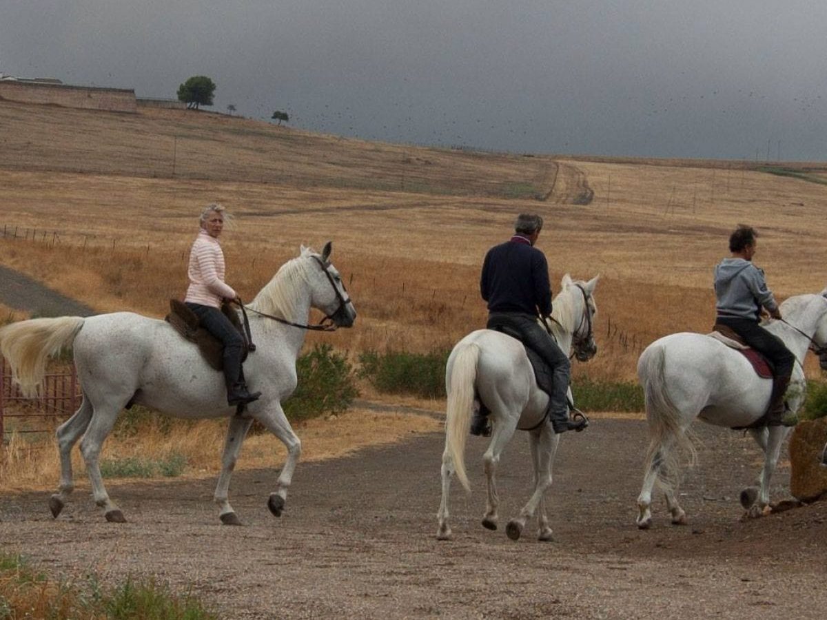 Ruta a caballo por la Sierra de Córdoba