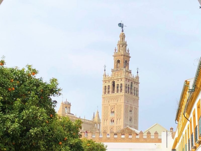 Essential Seville Private Walking Tour