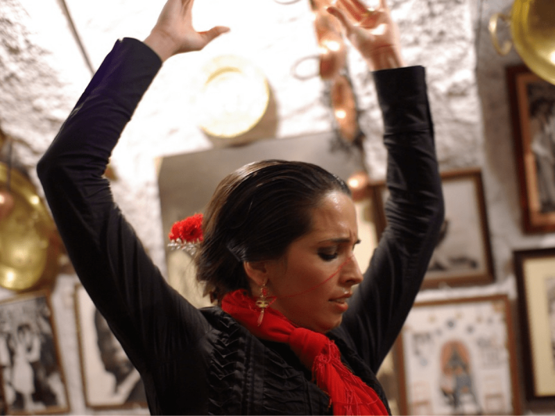 Granada Sacromonte Caves Flamenco Show with Albayzin