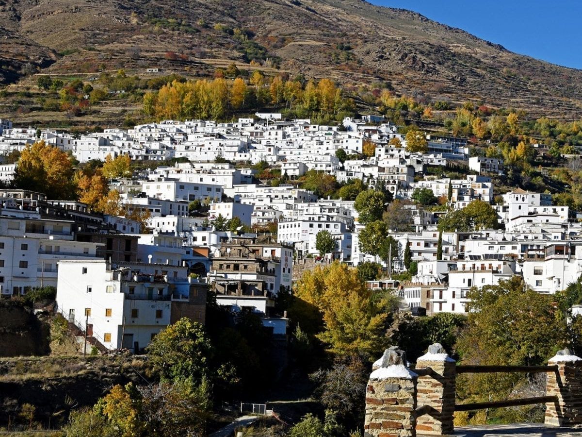 Alpujarra desde Granada: tour del legado andaluz