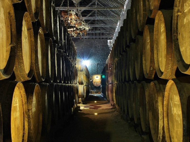 Lisboa: cata de vinos privada en la región de Setúbal