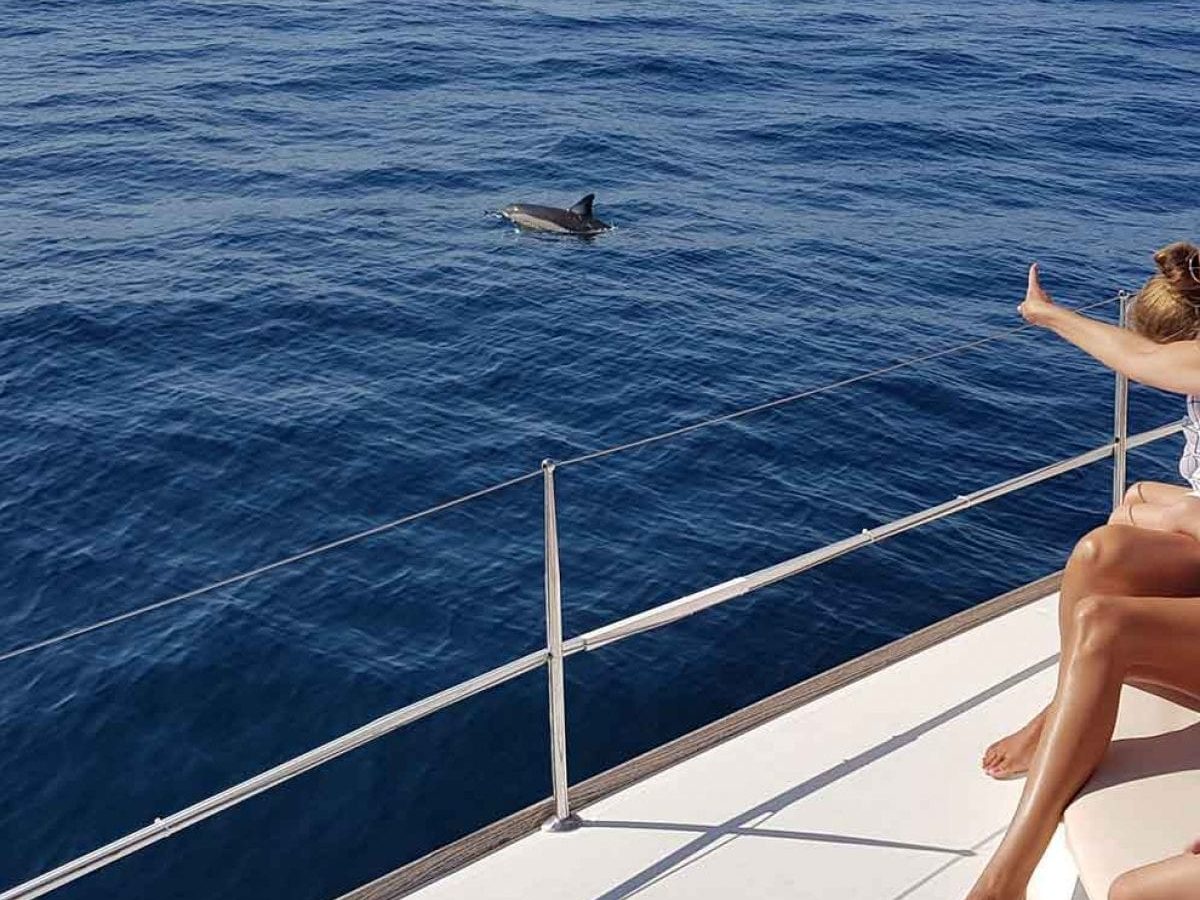 Avistamiento de delfines en Marbella