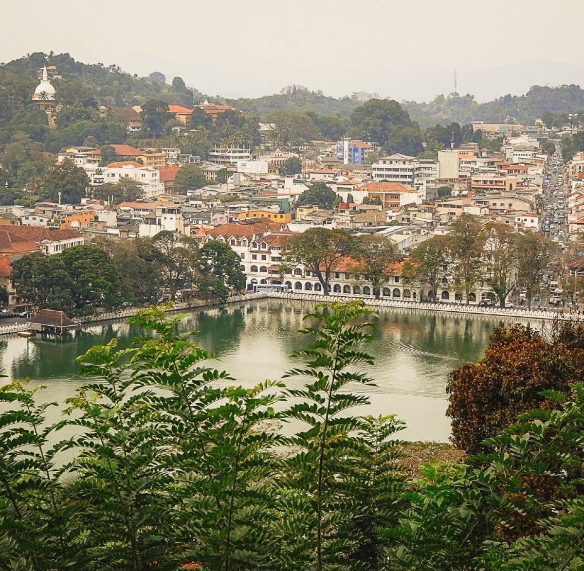 05 Day Tour From Kandy