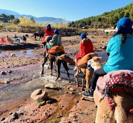 Atlas mountains day trip from Marrakech and Camel ride
